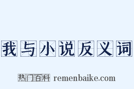 我与小说反义词是什么意思的图片